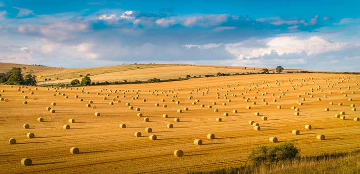 Roling hills farm hay bales